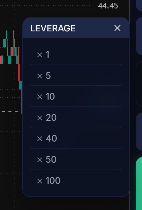 Leverage selector listing multipliers from x1 to x100